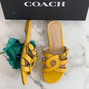 COACH Kennedy Flat Sandals 6B